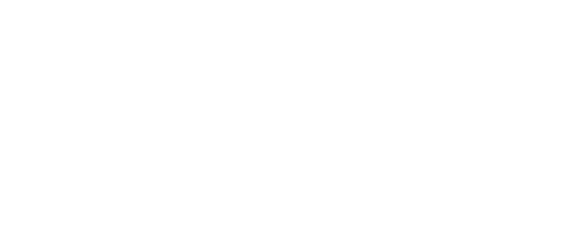 logo Team First